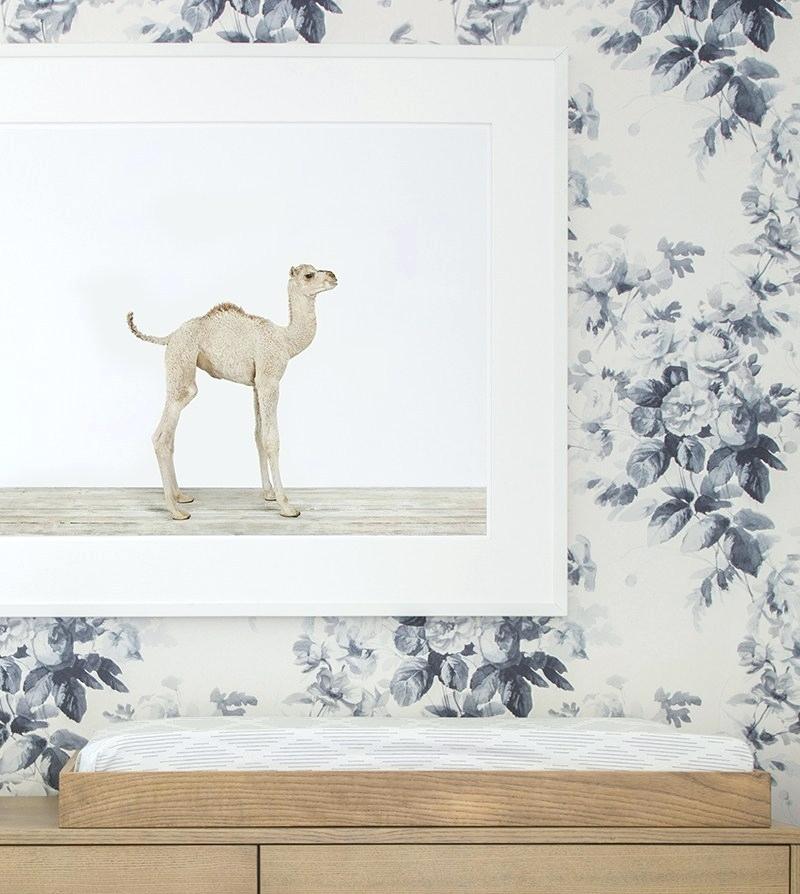Cu House Of Hackney Nursery Wallpaper Baby Animal Zoo - Wallpaper , HD Wallpaper & Backgrounds