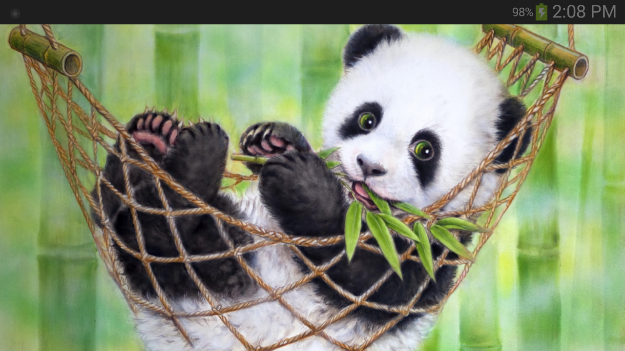 What Other Items Do Customers Buy After Viewing This - Panda Bear , HD Wallpaper & Backgrounds