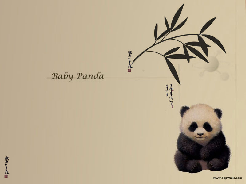 Baby Panda Wallpaper - Baby Panda , HD Wallpaper & Backgrounds