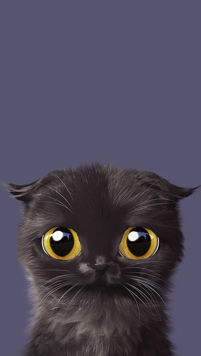 Kitty Cat Wallpaper - Cat Wallpaper Iphone X , HD Wallpaper & Backgrounds