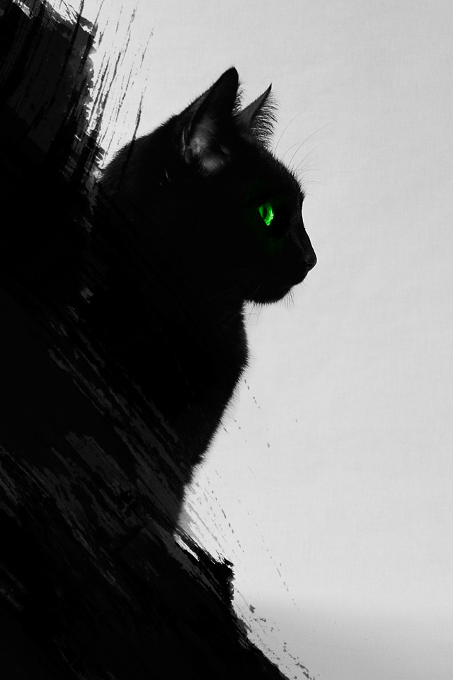 Black Cat Wallpaper - Black Cat Wallpaper Hd , HD Wallpaper & Backgrounds