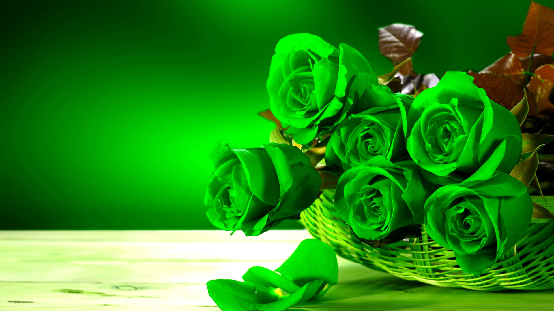 Rose Hd Wallpaper Green Rose Hd Wallpapers Pictures - Beautiful Hd Wallpapers Of Flowers , HD Wallpaper & Backgrounds