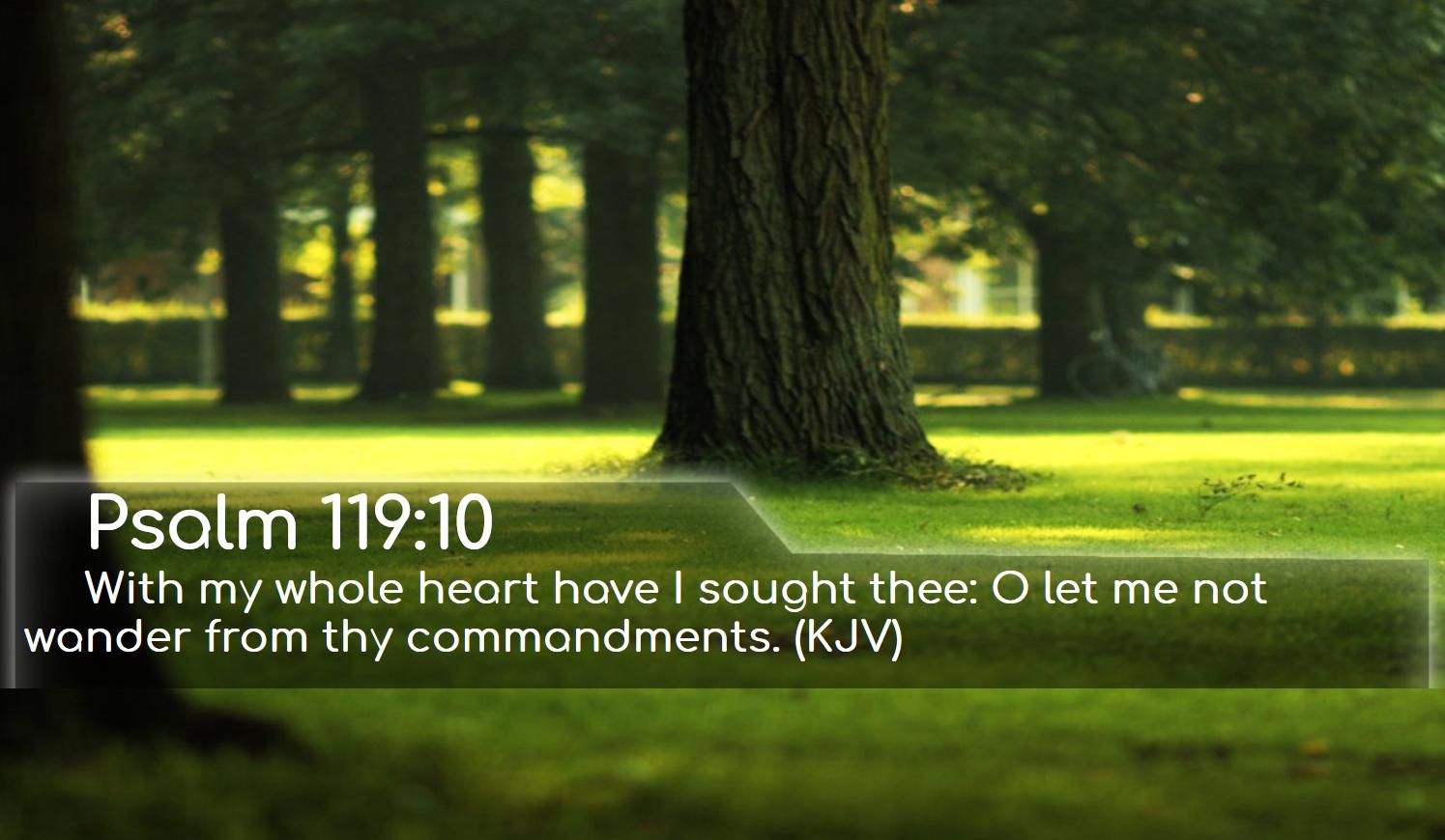 Ipad Wallpaper 190511160038 - Bible Verse Wallpaper Free , HD Wallpaper & Backgrounds