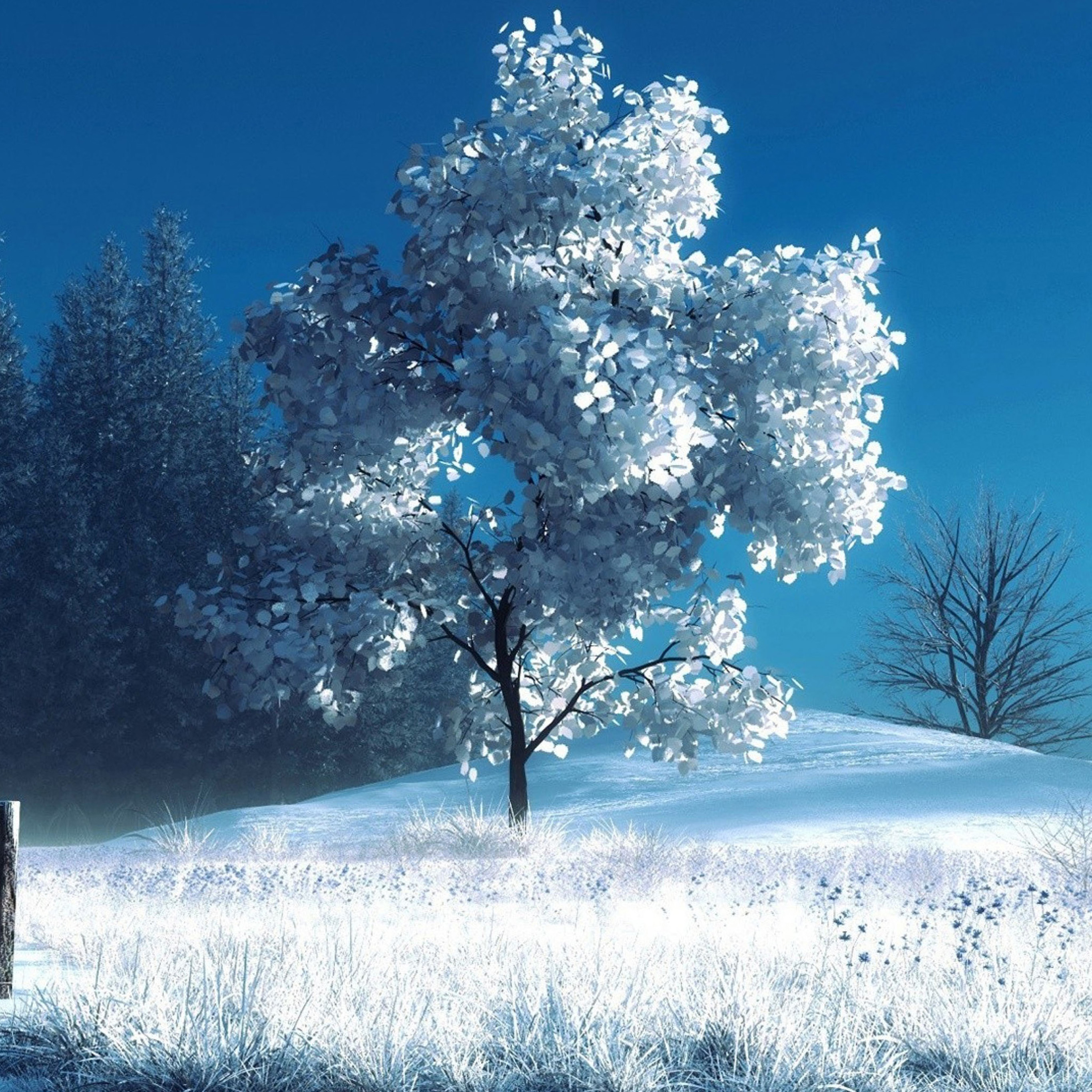 Winter Landscape Ipad Pro Wallpapers Hd 2732 X - 1080p Wallpaper Nature Winter , HD Wallpaper & Backgrounds