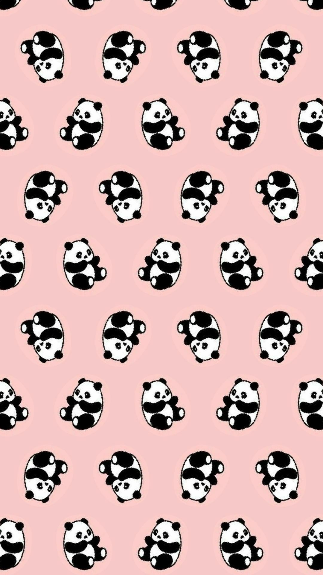 Gambar Panda  Lucu Untuk Wallpaper  Wa WallpaperShit