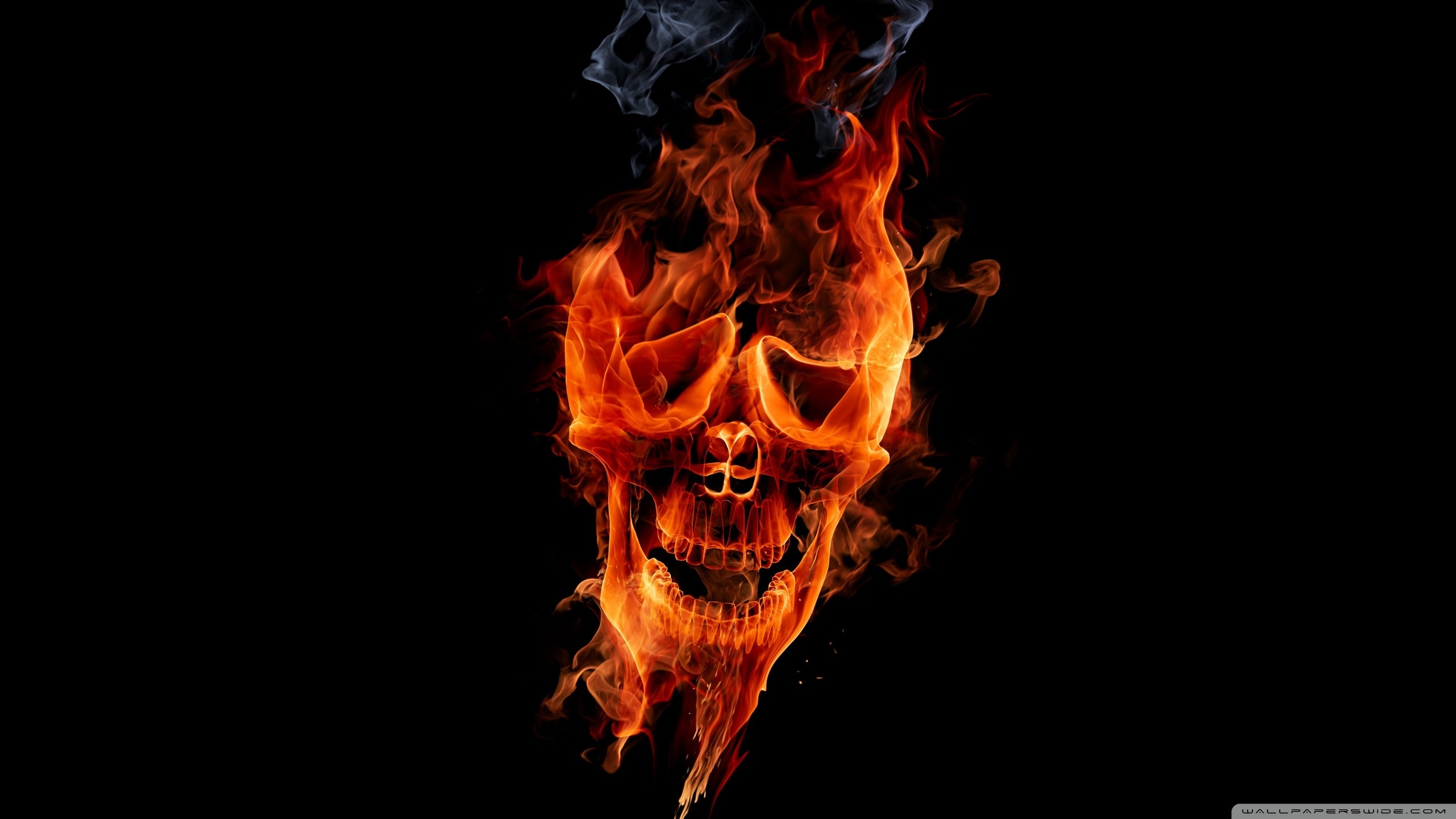 Standard - Fire Skull , HD Wallpaper & Backgrounds