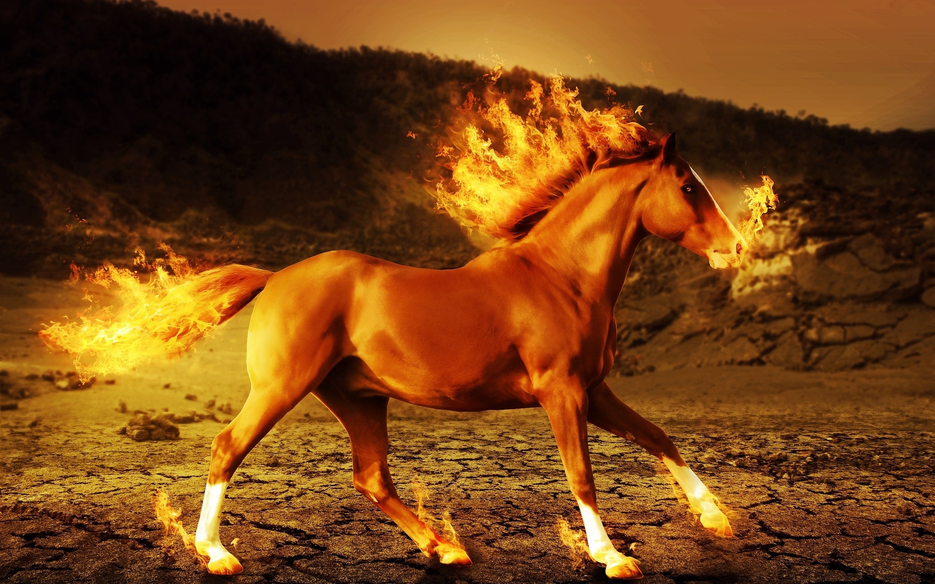 Horse Fire Wallpaper - Running Horse On Fire , HD Wallpaper & Backgrounds