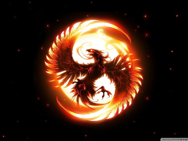 Eagle Fire Fantasy Wallpaper Hd - Fahrenheit 451 Salamander And Phoenix , HD Wallpaper & Backgrounds