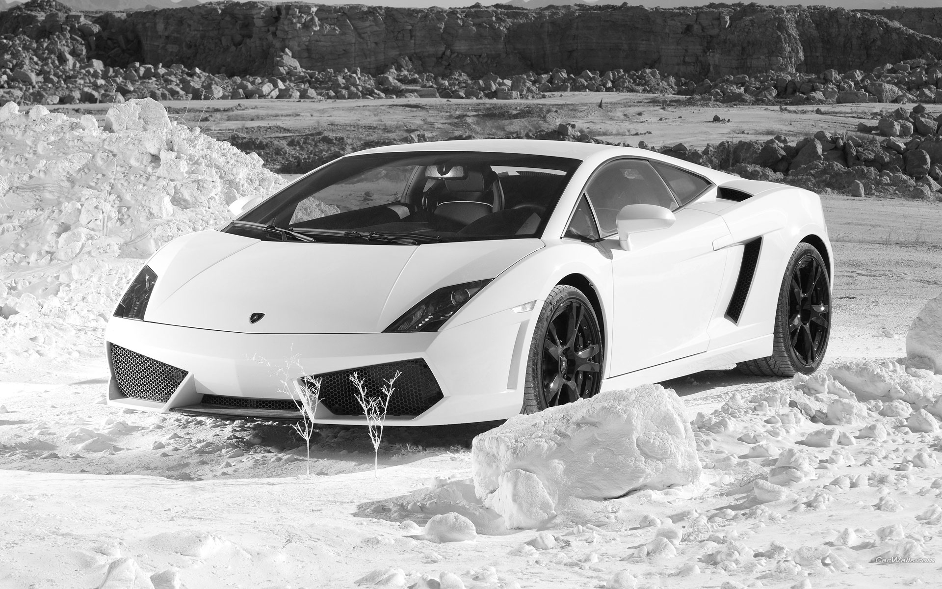 White Lamborghini Wallpaper , HD Wallpaper & Backgrounds