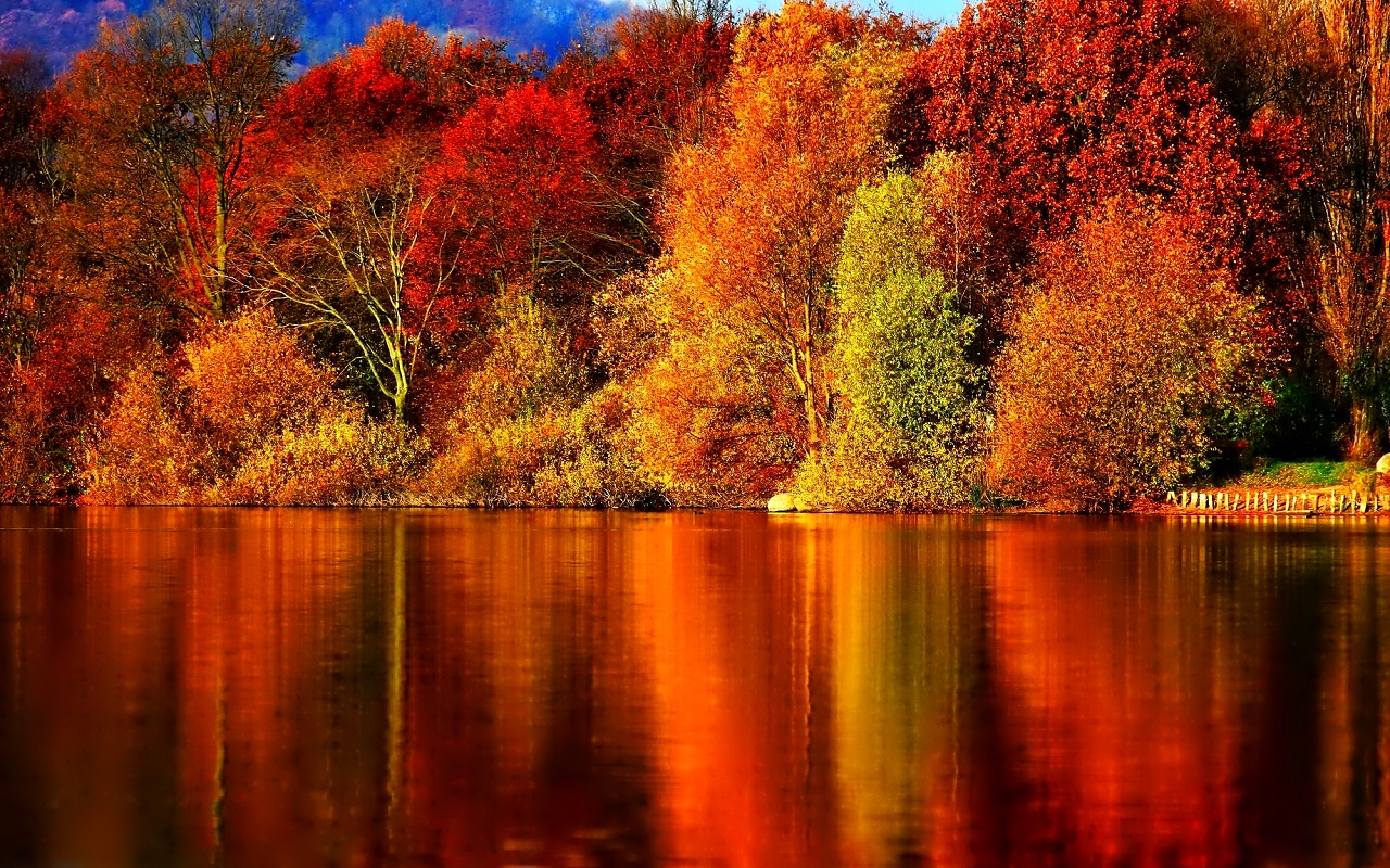 Autumn Wallpaper - Autumn Hd , HD Wallpaper & Backgrounds
