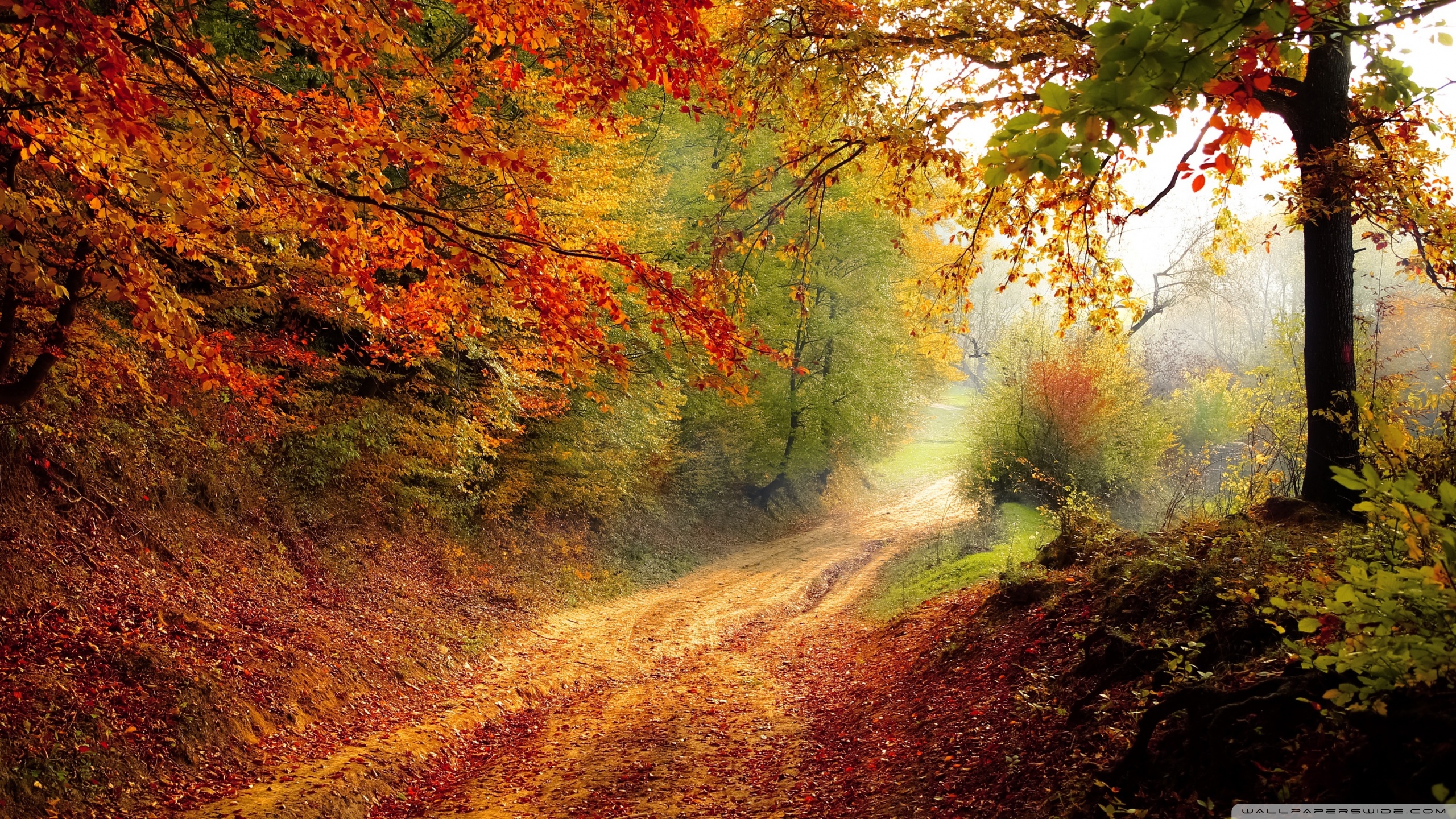 Hd 16 - - Fall Backgrounds For Chromebook , HD Wallpaper & Backgrounds