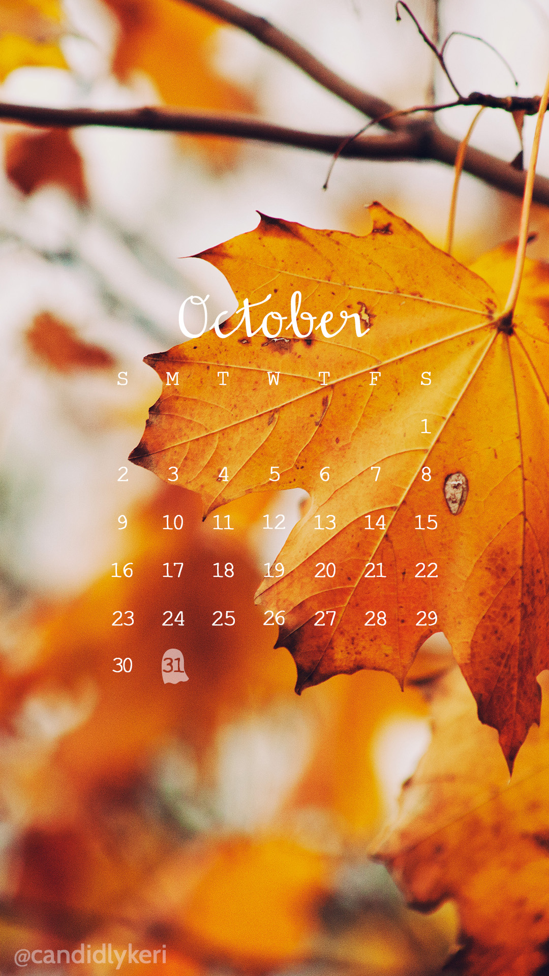 Fall Leaves Photo October Calendar You Can Download - October Wallpaper Iphone , HD Wallpaper & Backgrounds