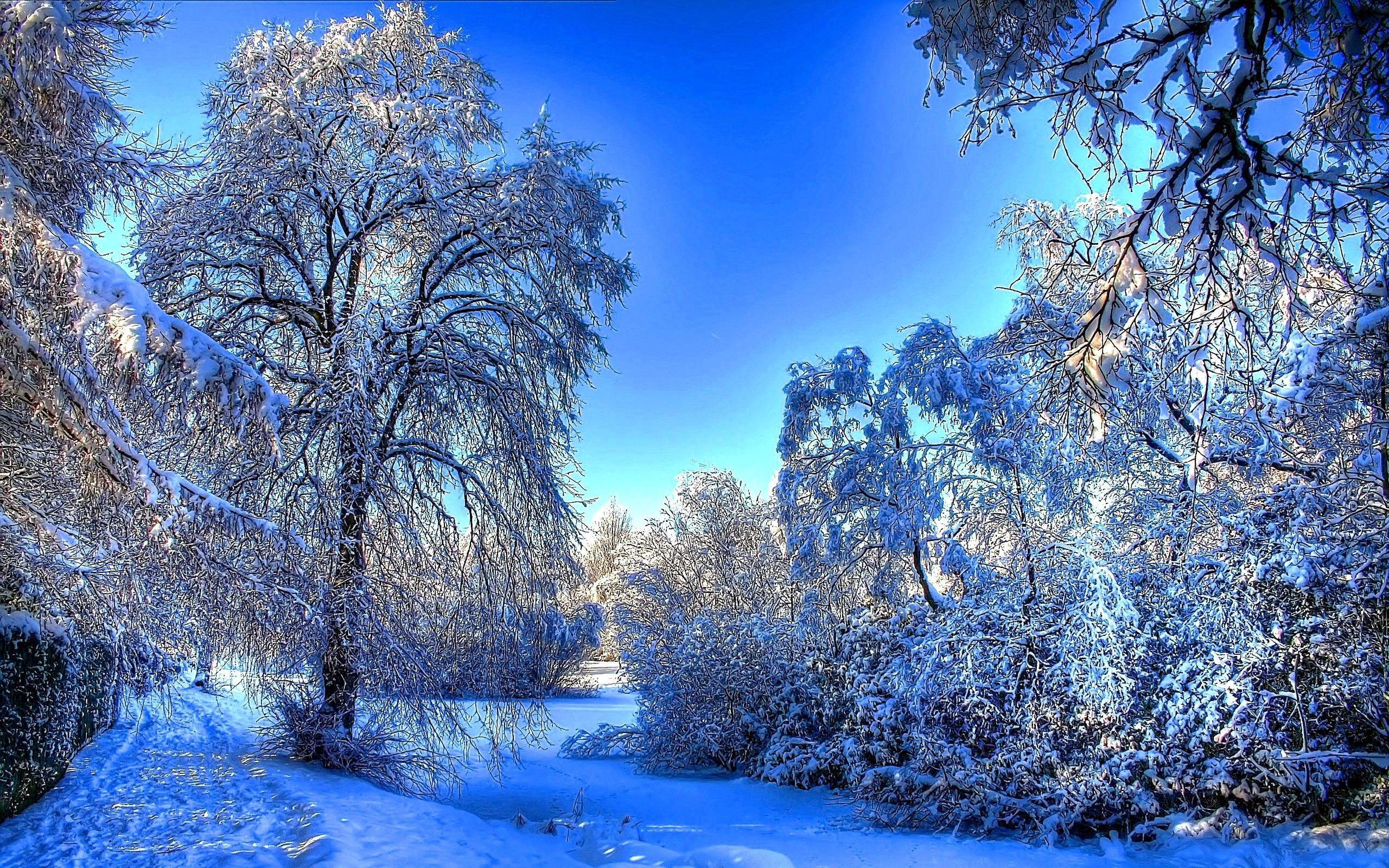 Beautiful Winter Snow Wallpaper , HD Wallpaper & Backgrounds