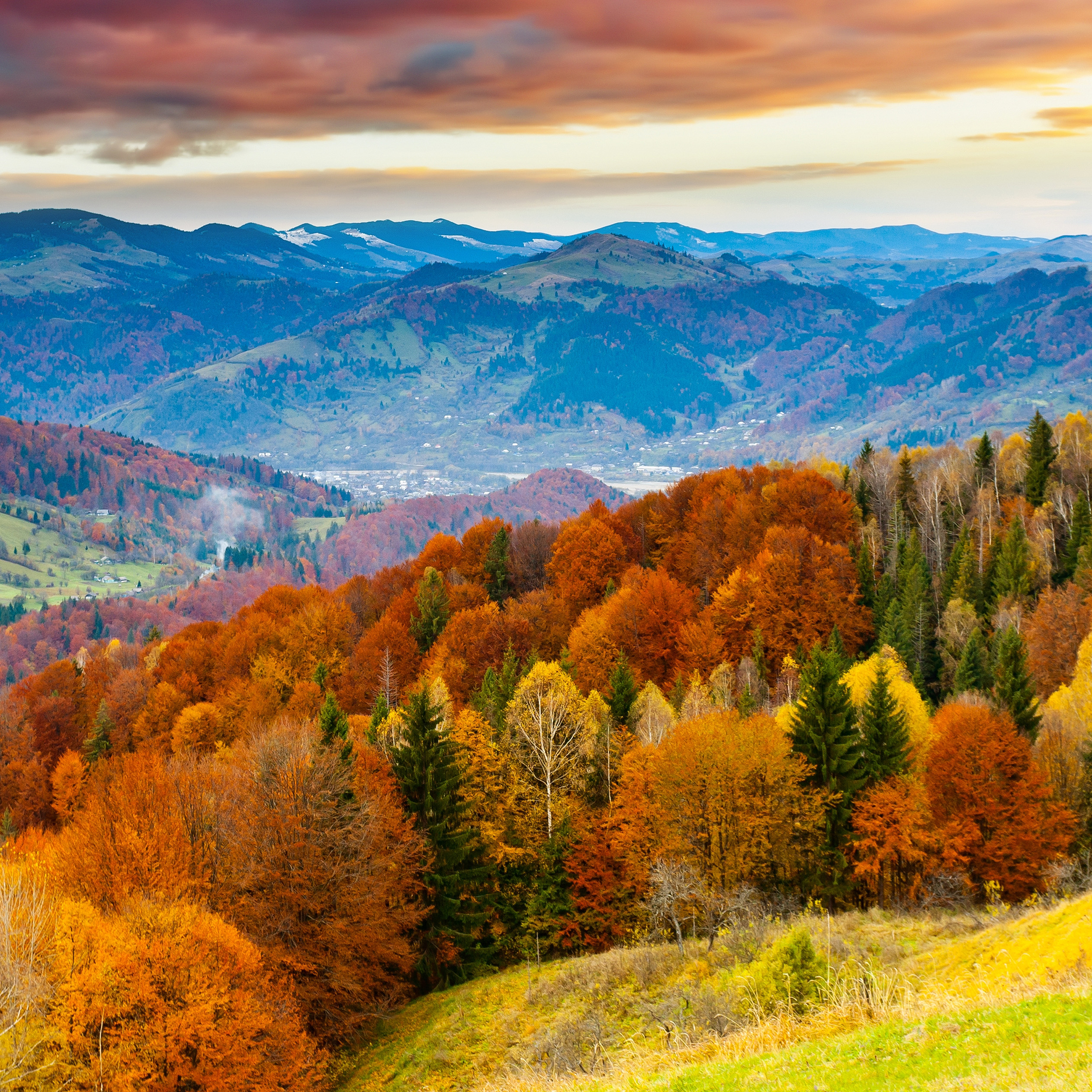Colorful Fall Wallpapers Of The Week - Fall Trees Mountains , HD Wallpaper & Backgrounds