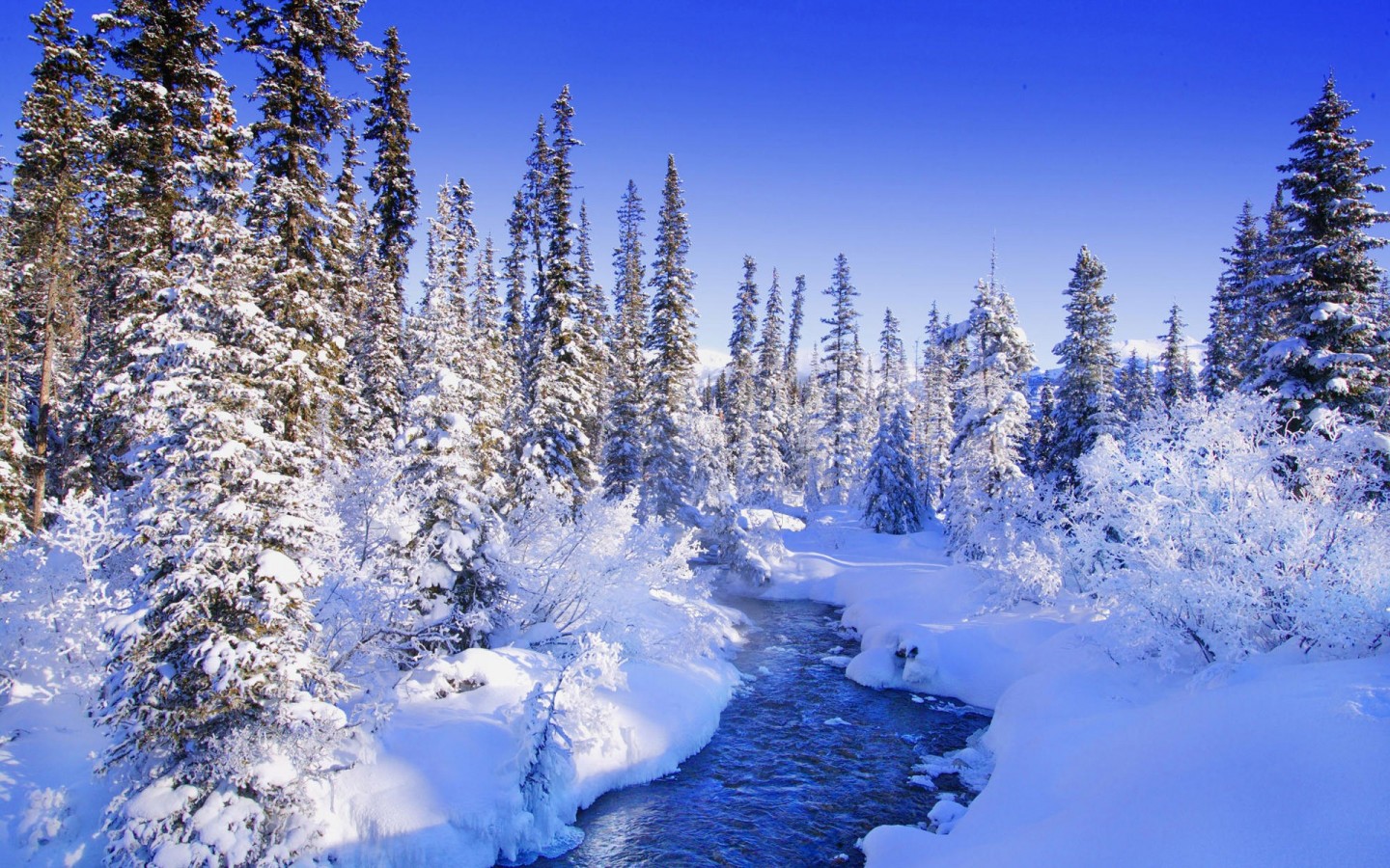 Encyclopedia Natural Aesthetic Snow Wallpaper - Winter Nature Wallpapers For Desktop , HD Wallpaper & Backgrounds