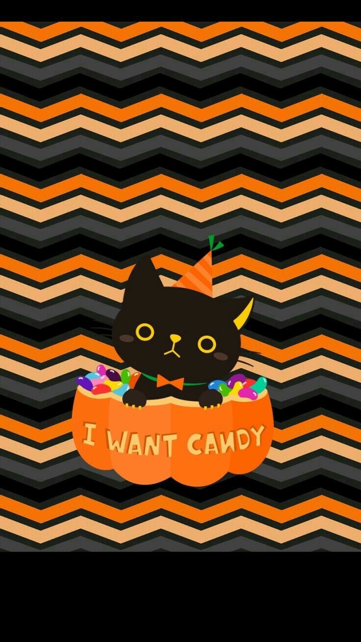 Iphone Halloween Wallpaper Cute Black Cat - Cute Halloween Backgrounds Iphone , HD Wallpaper & Backgrounds