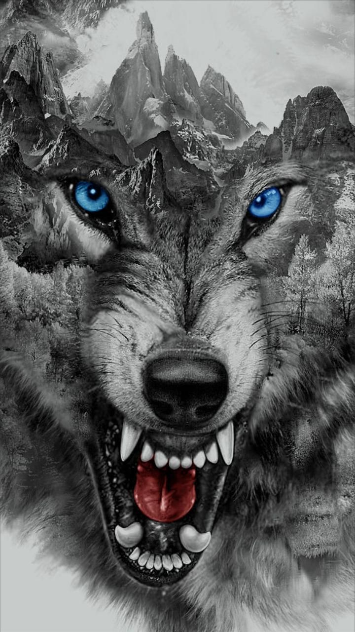 Download Angry Wolf Wallpaper By Georgekev Now - Angry Wolf Wallpaper Hd , HD Wallpaper & Backgrounds
