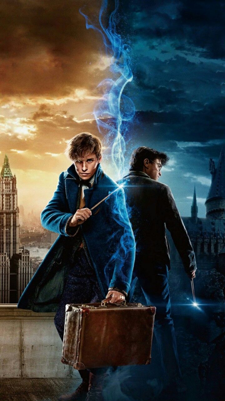 Harry Potter Wallpapers Hd - Harry Potter And Newt Scamander , HD Wallpaper & Backgrounds