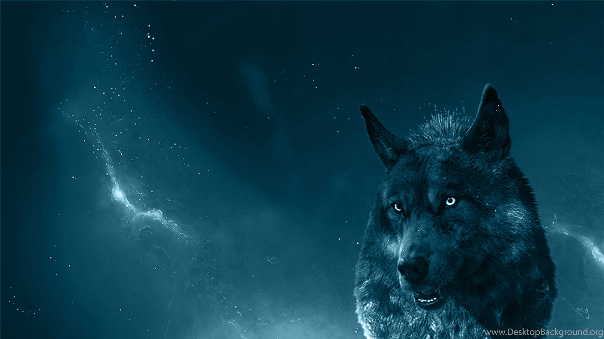 Wolf Wallpaper Download - Blue Wolf , HD Wallpaper & Backgrounds