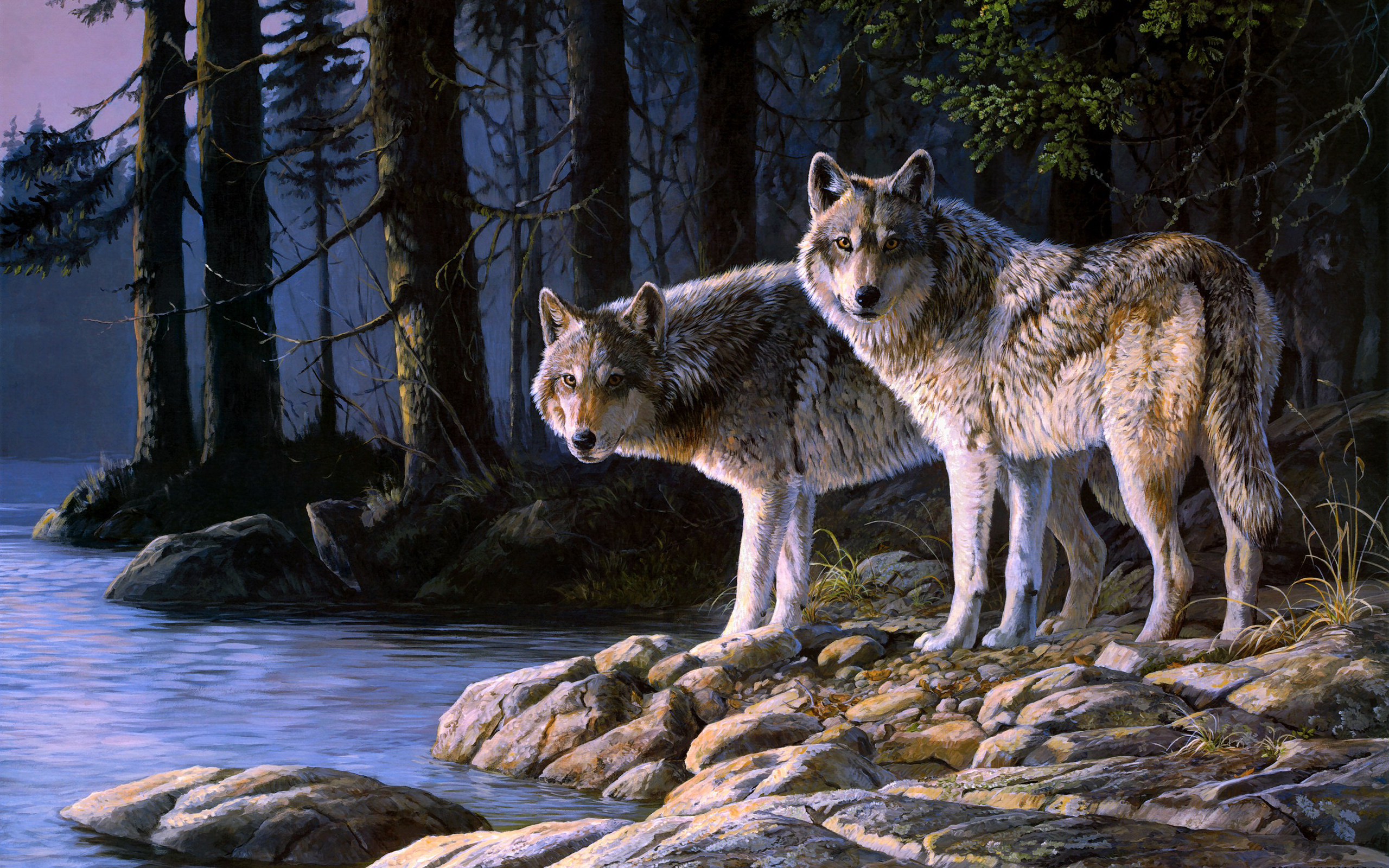 Wolf Wallpaper Nature Backgrounds - Cool Wolf Pc Background , HD Wallpaper & Backgrounds