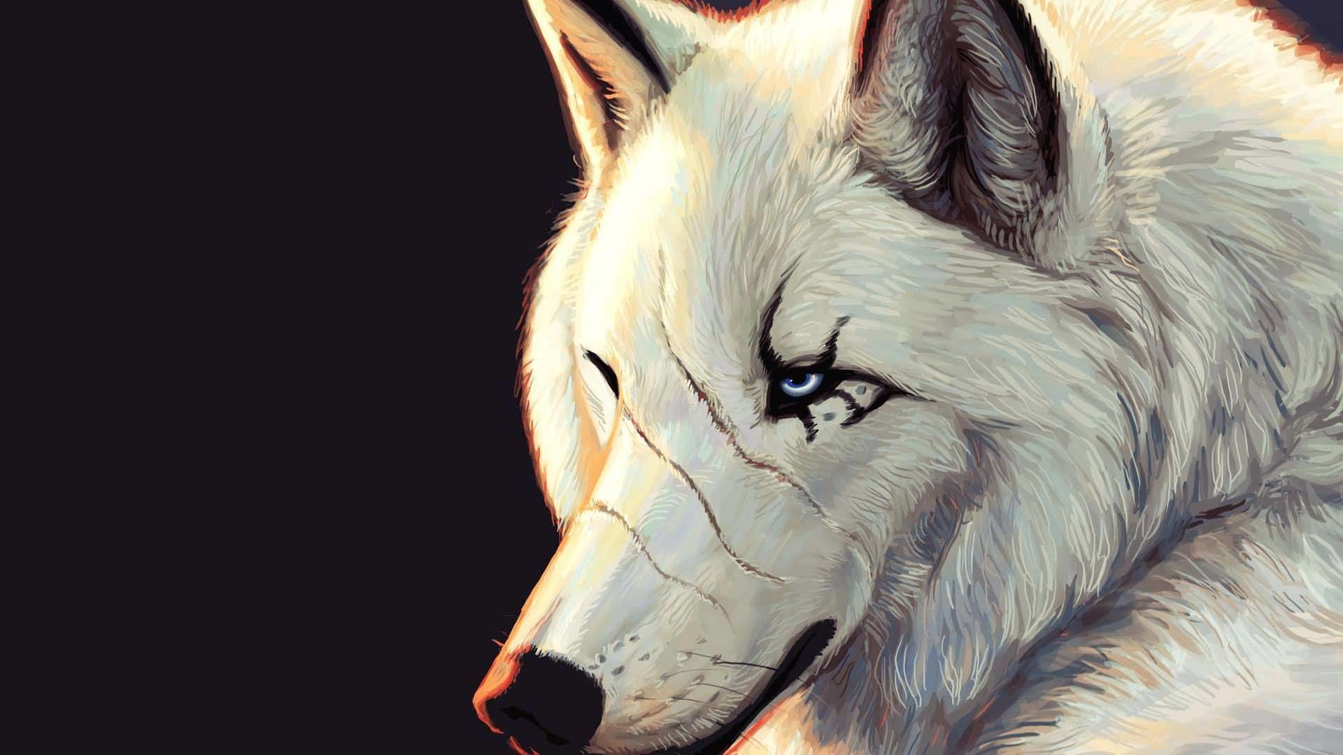 White Wolf Wallpaper Phone Is Cool Wallpapers - Cool Wolf Wallpapers Hd , HD Wallpaper & Backgrounds