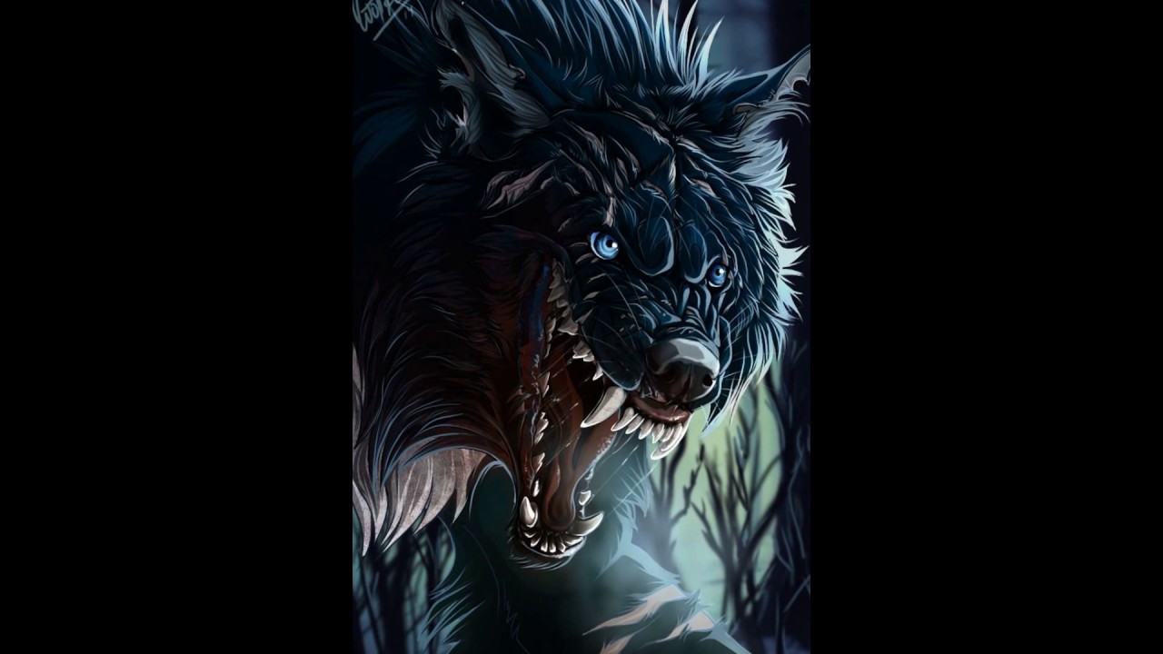 Cool Wolf Wallpapers - Cool Backgrounds For Boys , HD Wallpaper & Backgrounds