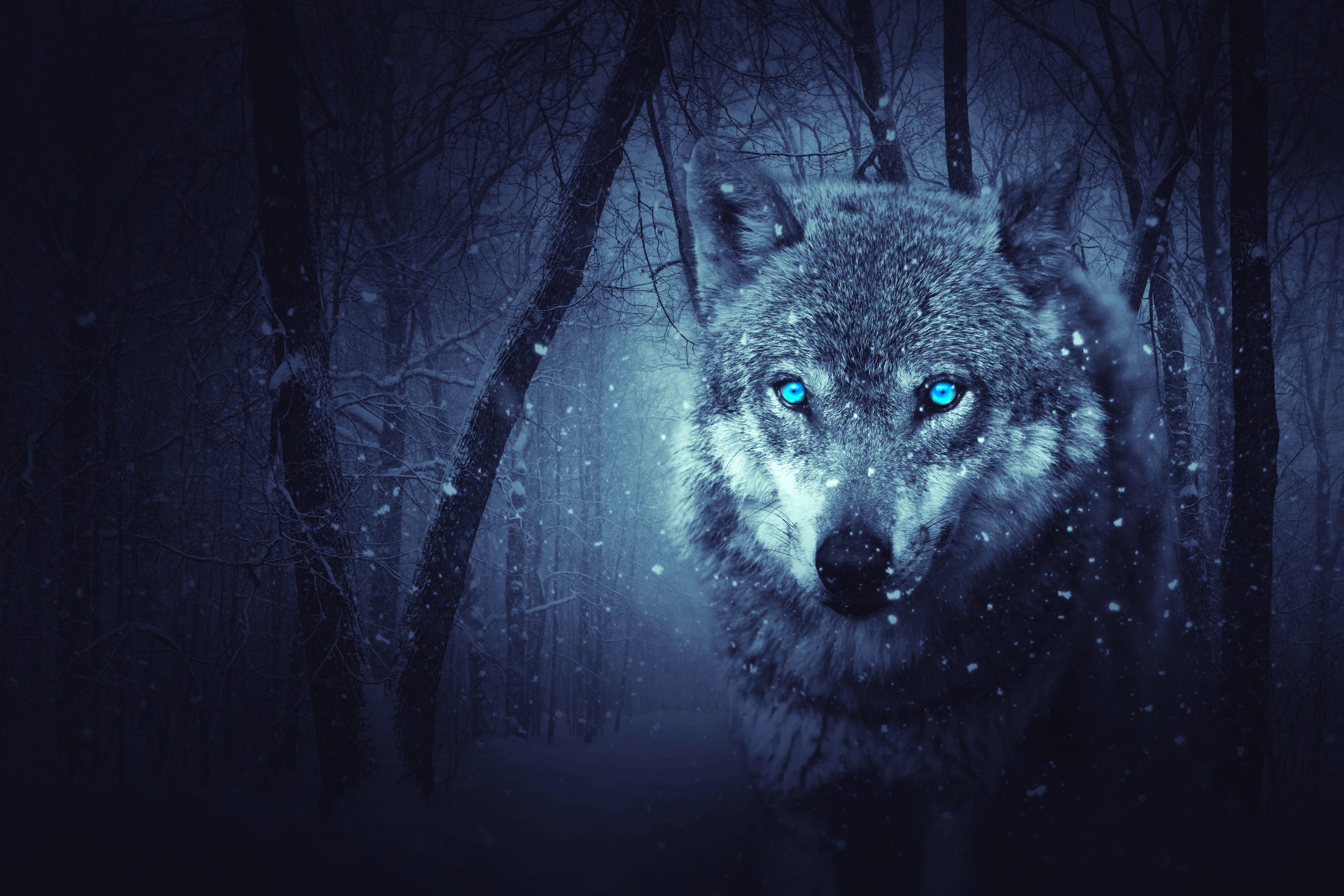 Fantasy Wolf Wallpaper - Wolf Wallpaper For Macbook , HD Wallpaper & Backgrounds