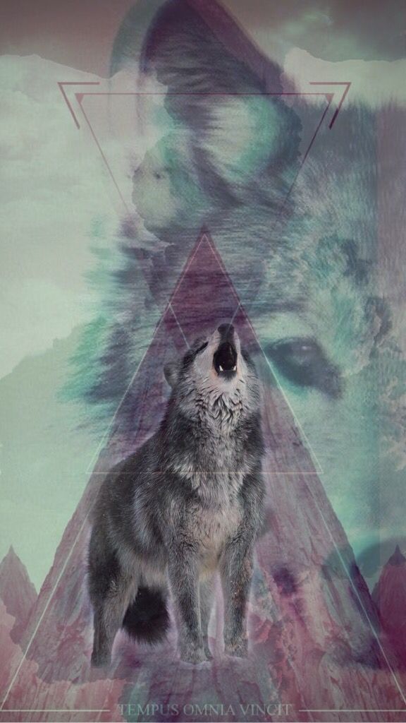 Made A Wolf Wallpaper For My Iphone - Trippy Wolf , HD Wallpaper & Backgrounds