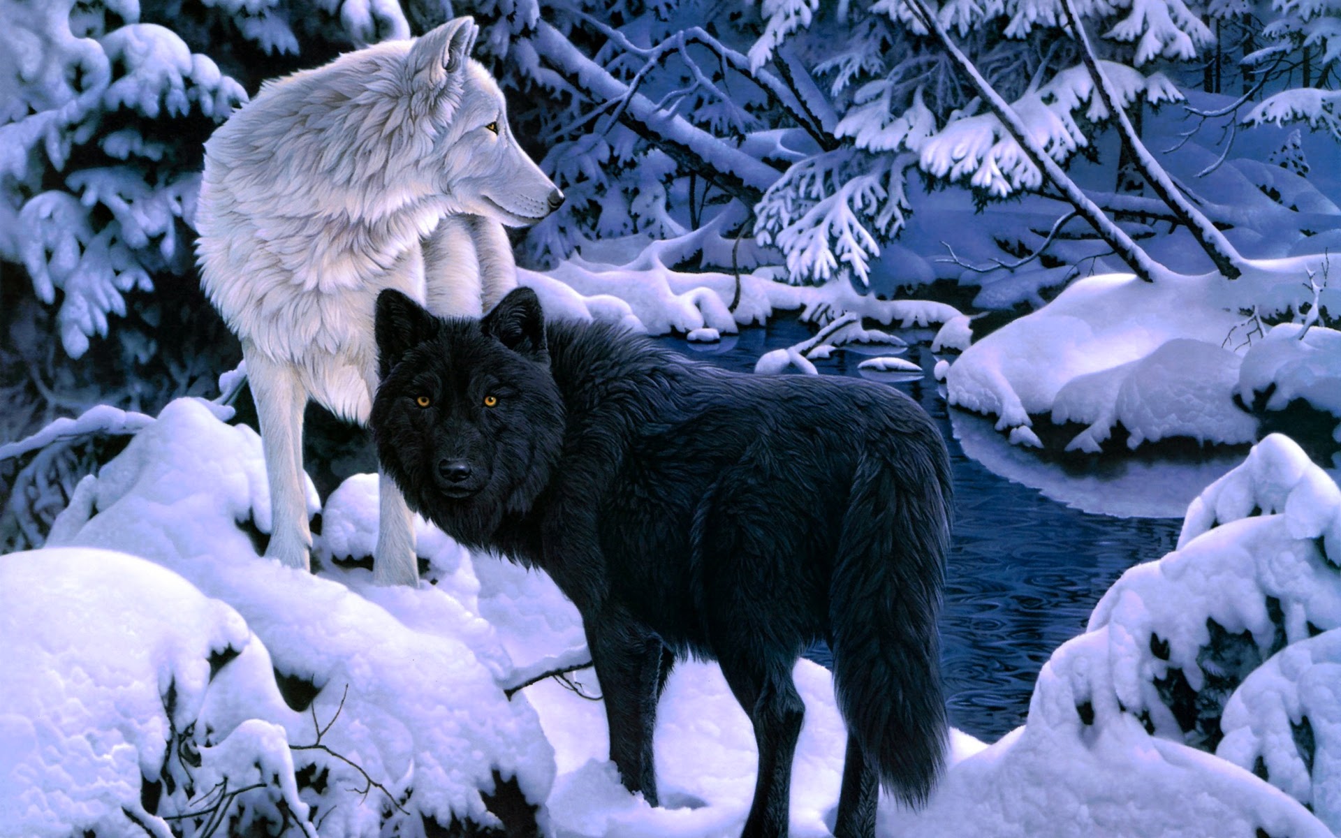 Wolf Wallpapers For Iphone - White And Black Wolf , HD Wallpaper & Backgrounds