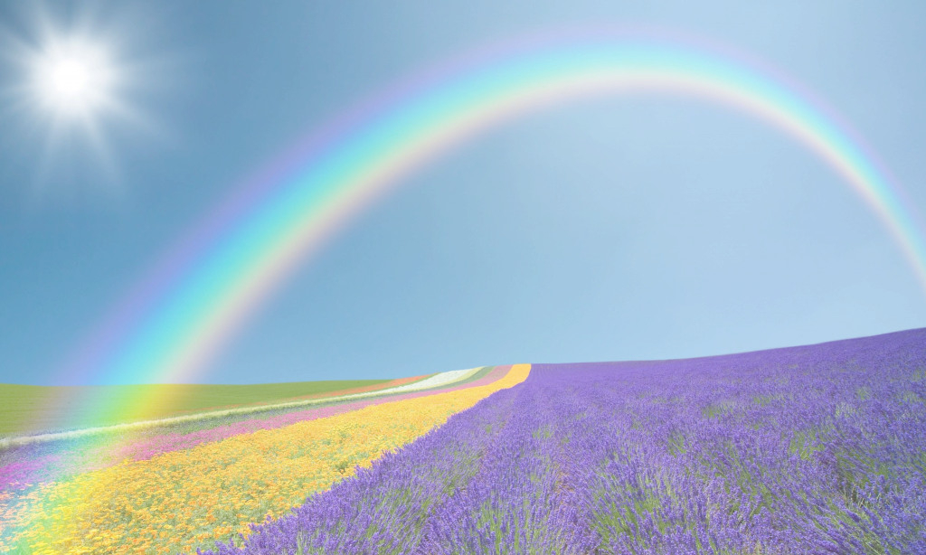 Rainbow Wallpapers, Pictures, Images Images Beautiful - Rainbow High Resolution , HD Wallpaper & Backgrounds