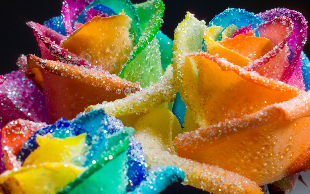 Beautiful Happy Roses Rainbow Glitter Photo Gallery - Rainbow Roses Wallpaper Hd , HD Wallpaper & Backgrounds