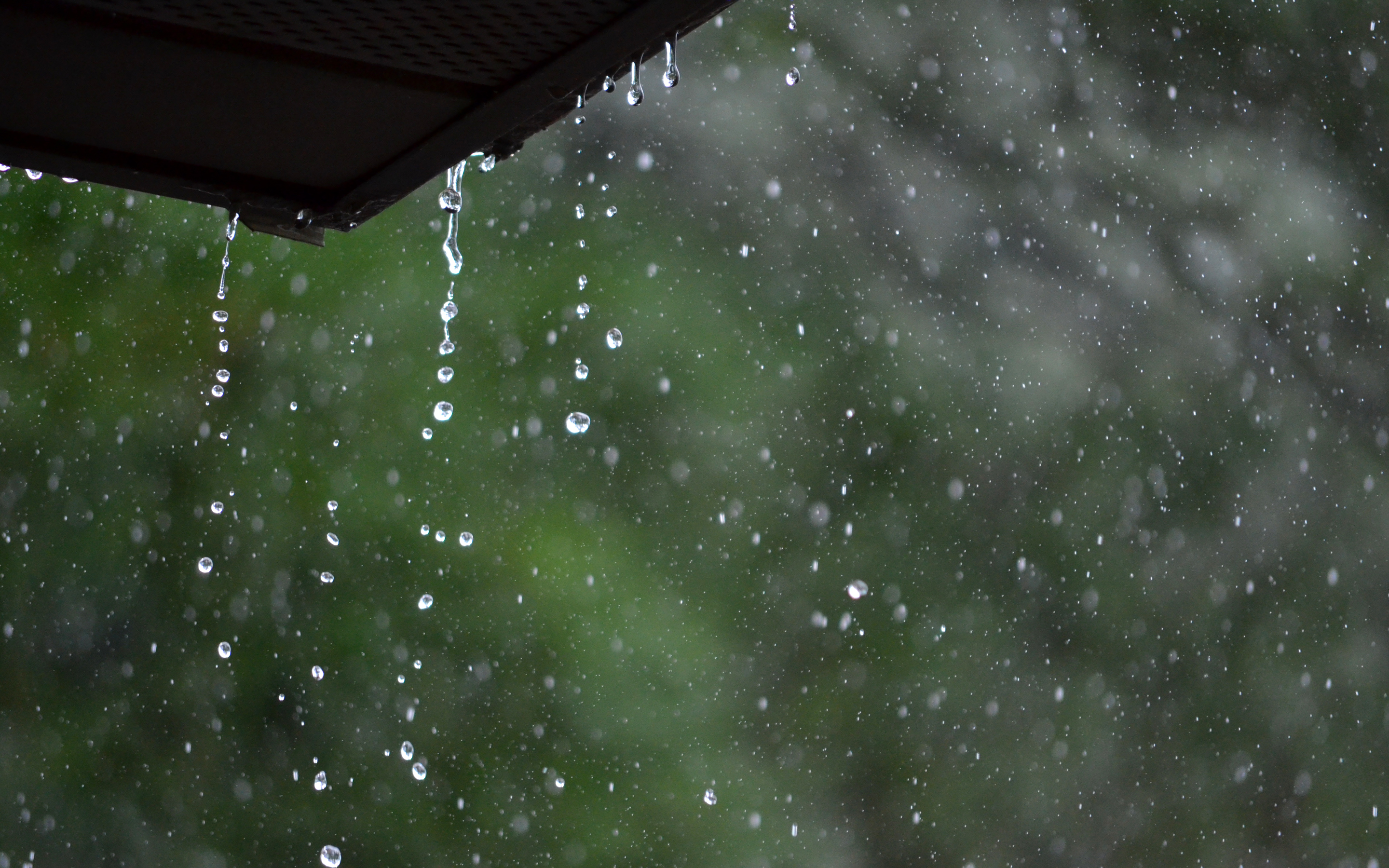 Hd Wallpaper - High Definition Rain Photo Hd , HD Wallpaper & Backgrounds