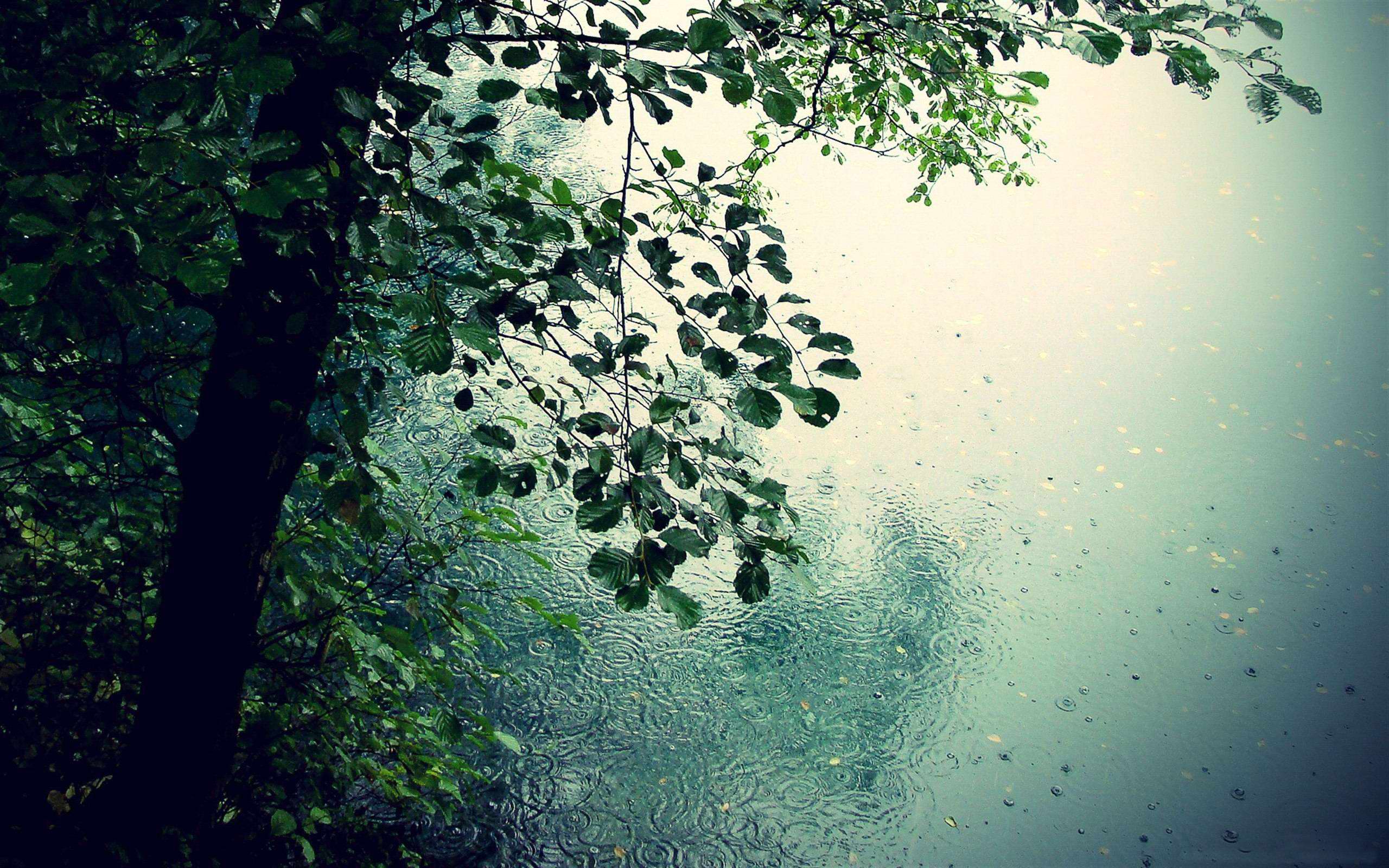 Raindrops Wallpaper Pic Hwb21531 - Rain Drops , HD Wallpaper & Backgrounds