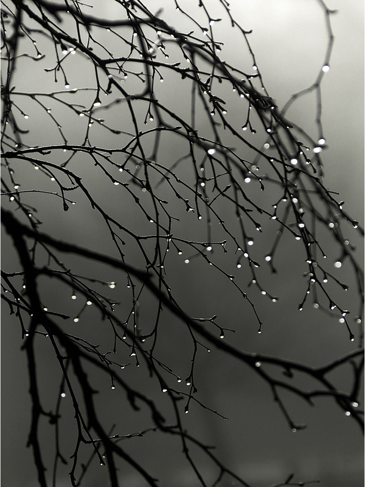 Black And White Raindrops , HD Wallpaper & Backgrounds