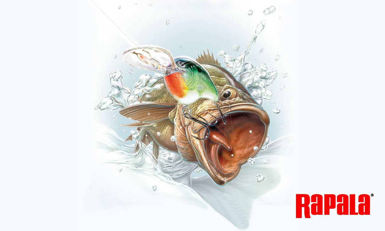 Rapala Wallpapers Group - Rapala Pro Fishing Pc , HD Wallpaper & Backgrounds