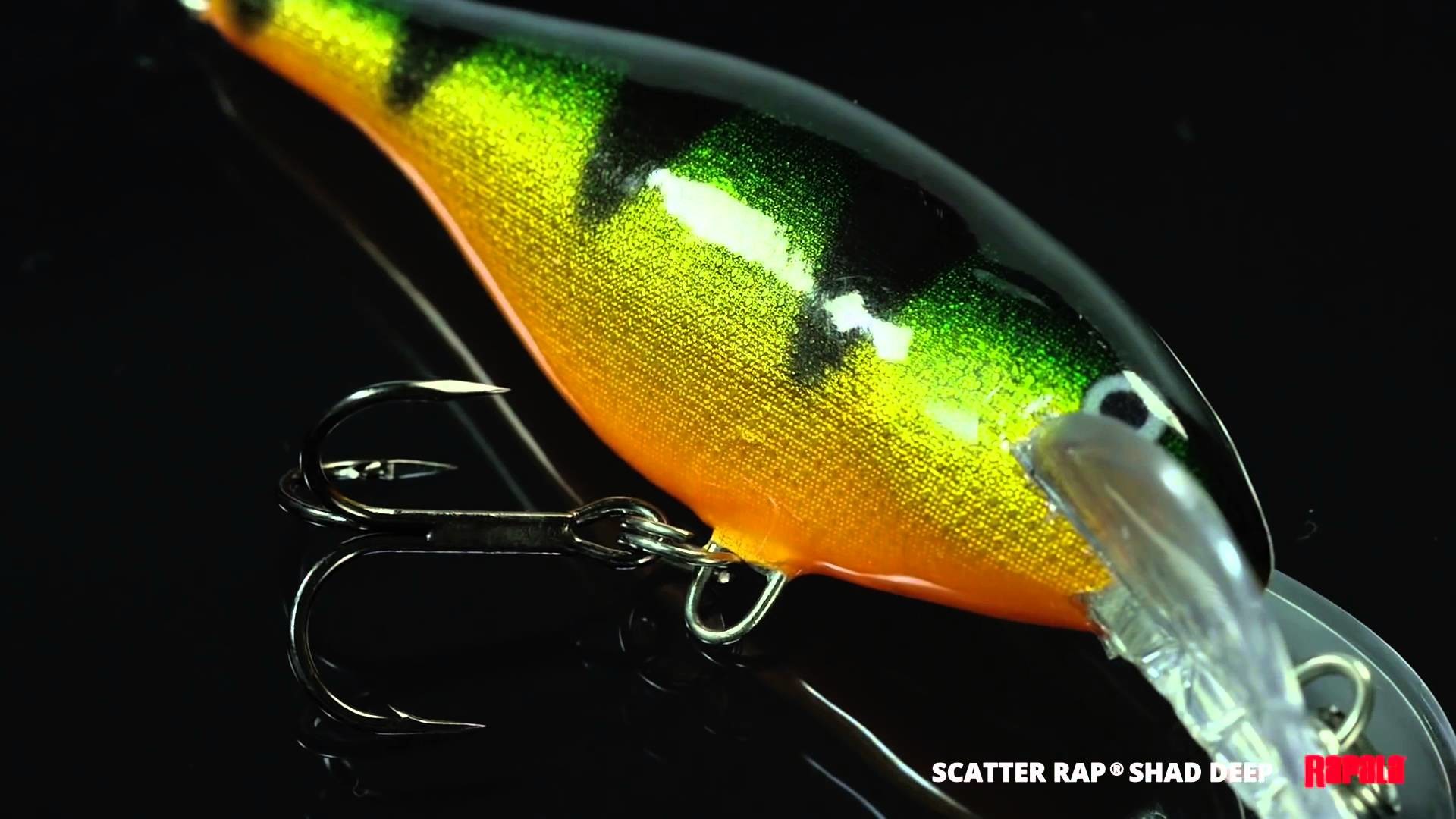 Rapala Fishing Pro Series Will Be Available In Oct - Marine Biology , HD Wallpaper & Backgrounds