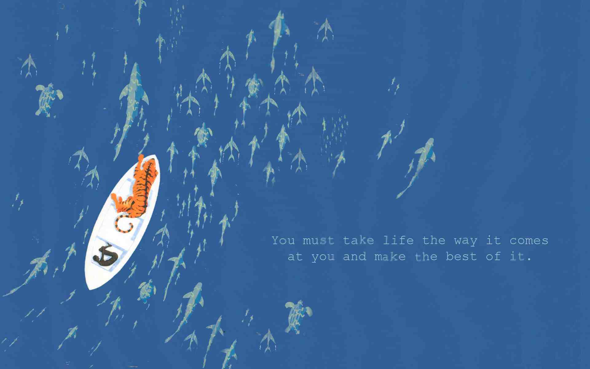 Life Of Pi Wallpaper - Life Of Pi Book Cover , HD Wallpaper & Backgrounds