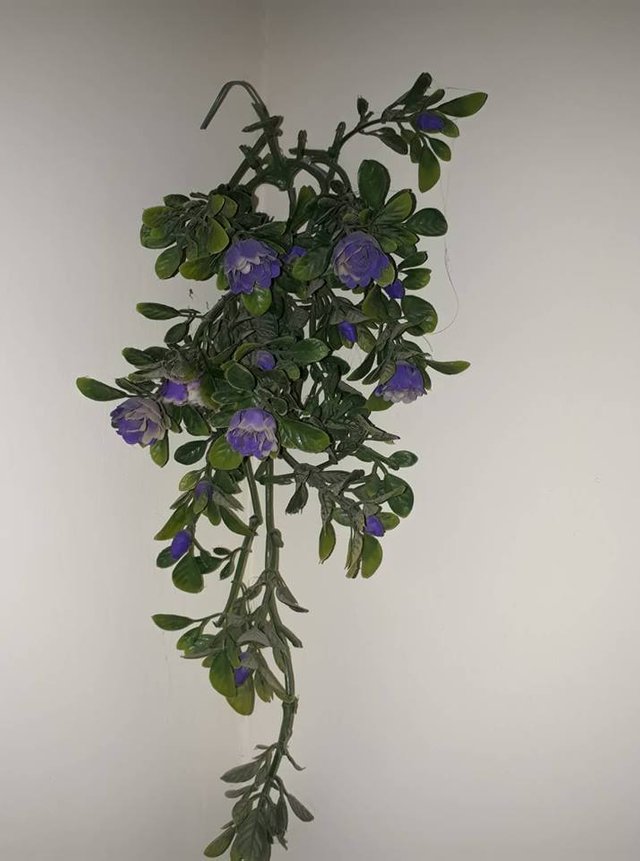 Ka Ghar Bhut Kabshurat Hota Hai - Artificial Flower , HD Wallpaper & Backgrounds