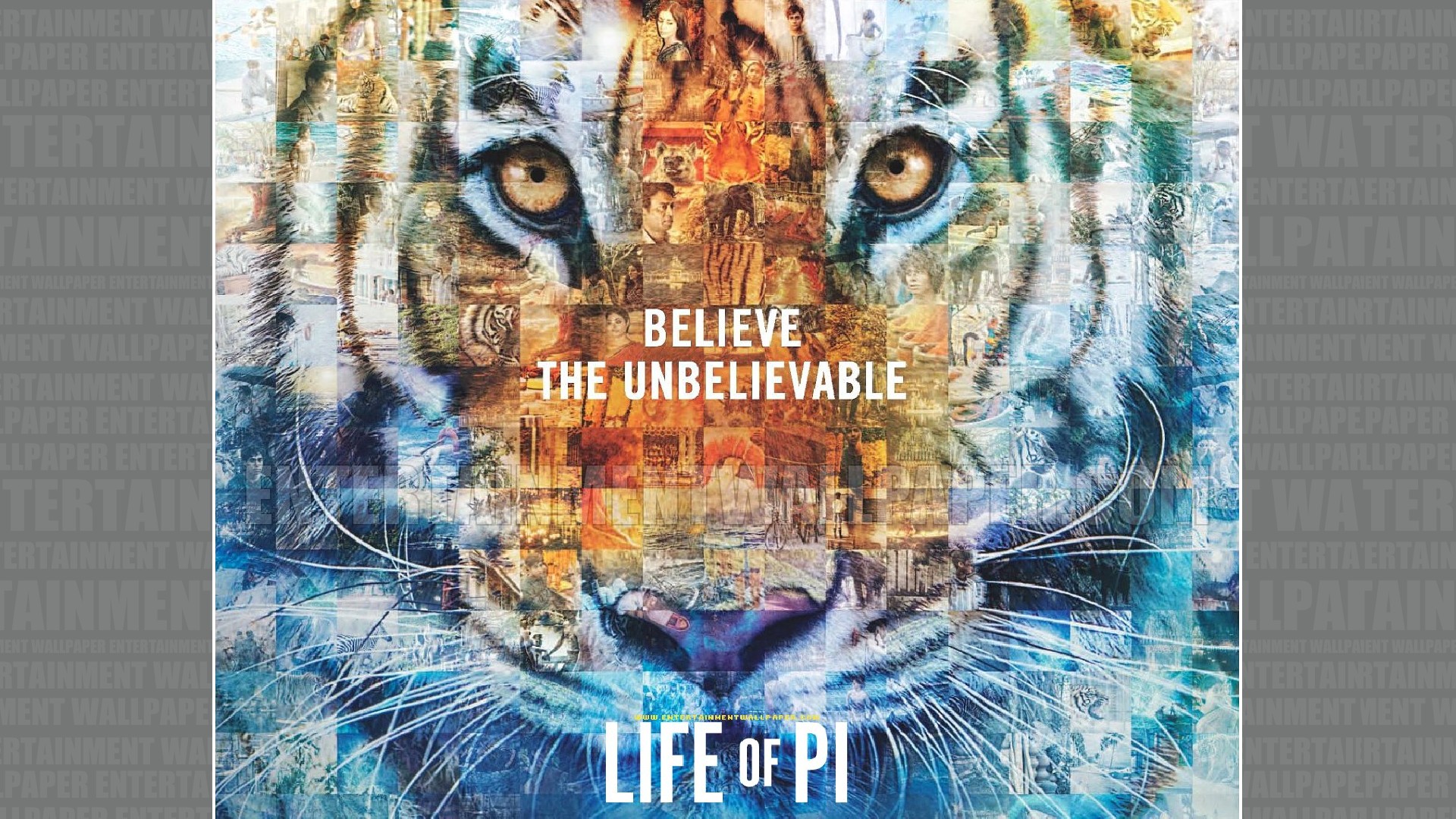 Life Of Pi Wallpaper - Life Of Pi Film Poster , HD Wallpaper & Backgrounds