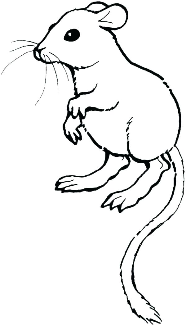 Lab Rats Coloring Pages Lab Rats Coloring Pages S Lab - Coloring Book , HD Wallpaper & Backgrounds