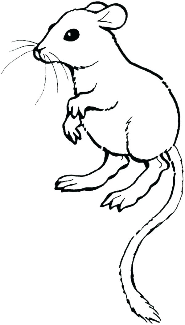 Free 20+ Disney Lab Rats Coloring Pages for Kids of All Ages - Chicago Parent