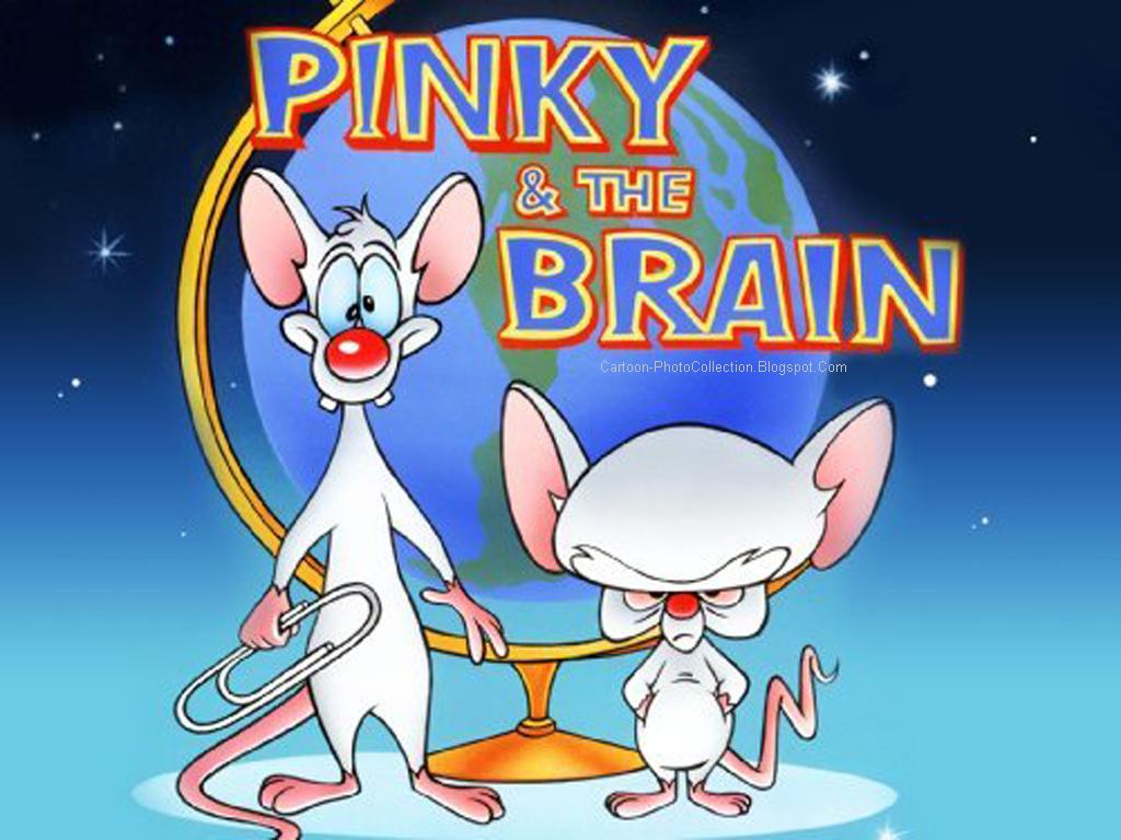 Pinky And The Brain Wallpapers - Pinky And The Brain , HD Wallpaper & Backgrounds