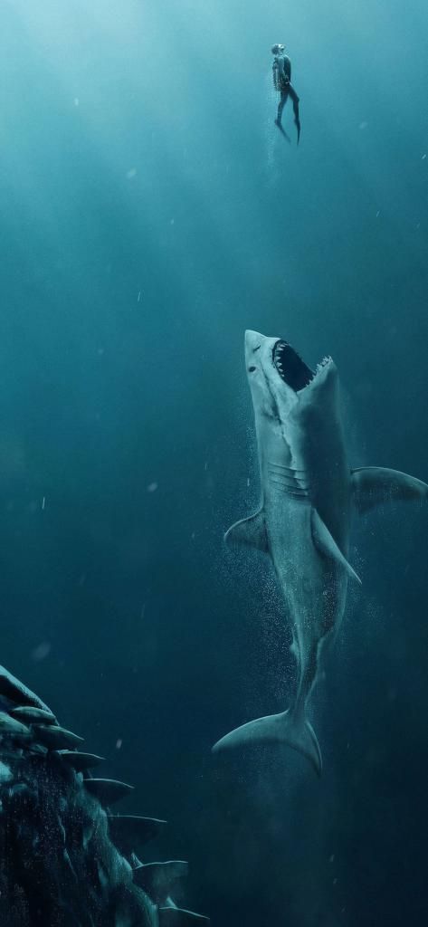 Iphone X Wallpaper The Meg Movie 4k Rb 11252436 Hd - Shark Wallpaper Hd Iphone , HD Wallpaper & Backgrounds