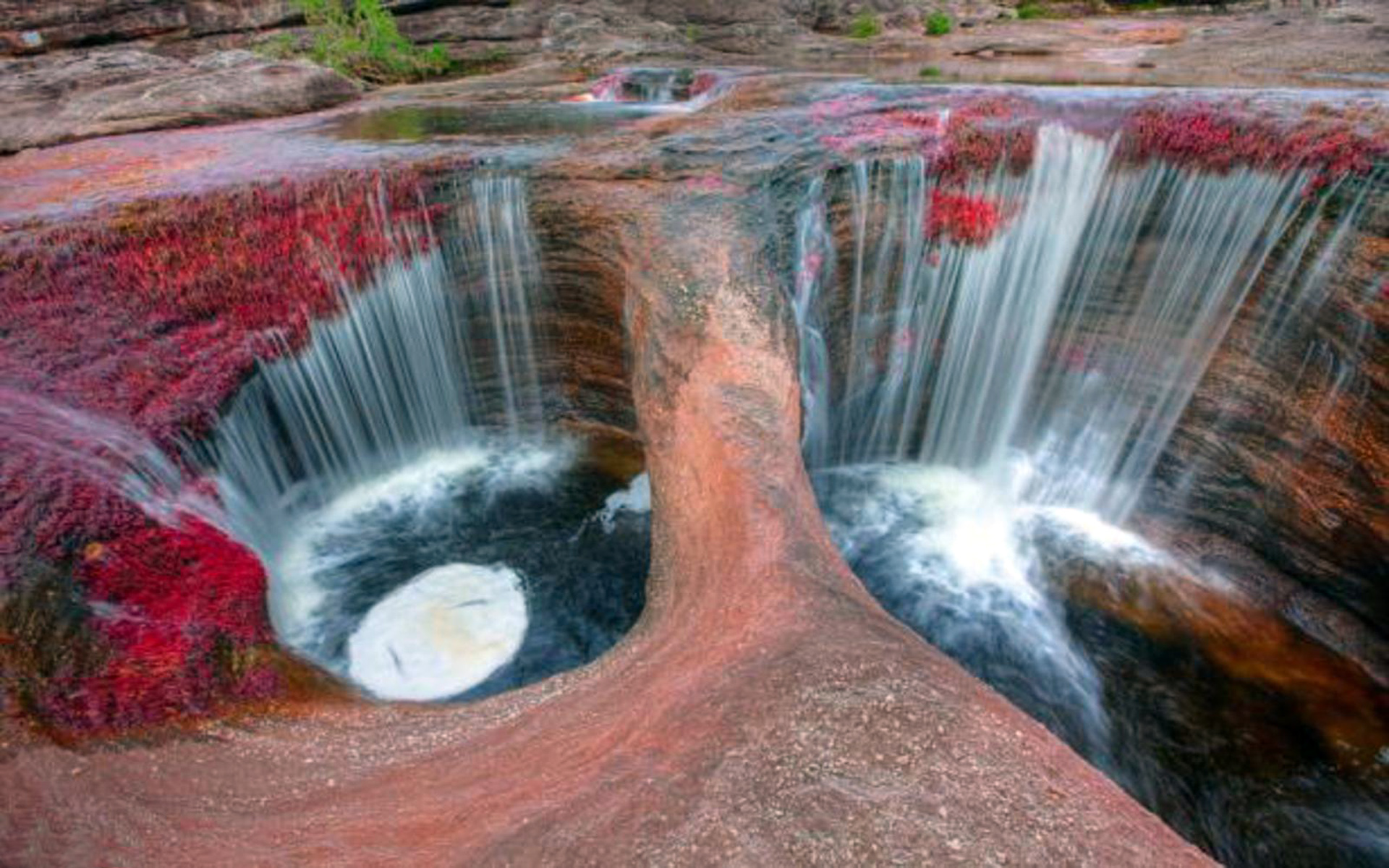 Cano Cristales River Colombia Wallpapers 1920×1200 - Colombia Sierra De La Macarena , HD Wallpaper & Backgrounds