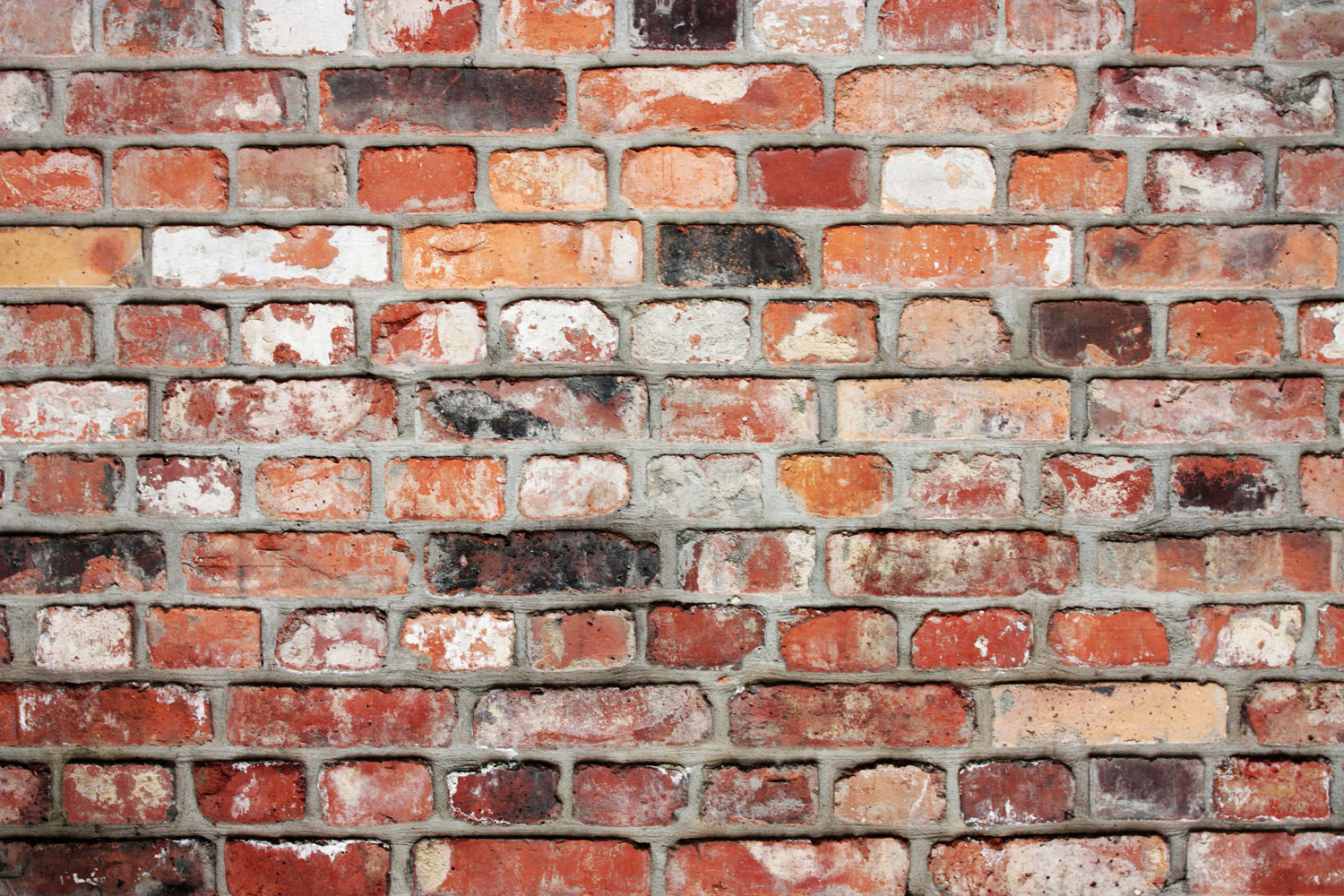 Old Brick Wall Colour - Brick , HD Wallpaper & Backgrounds