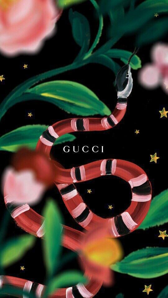 Gucci Wallpaper , HD Wallpaper & Backgrounds