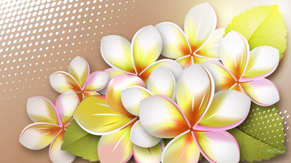 Plumeria Wallpaper - Frangipani Hd , HD Wallpaper & Backgrounds
