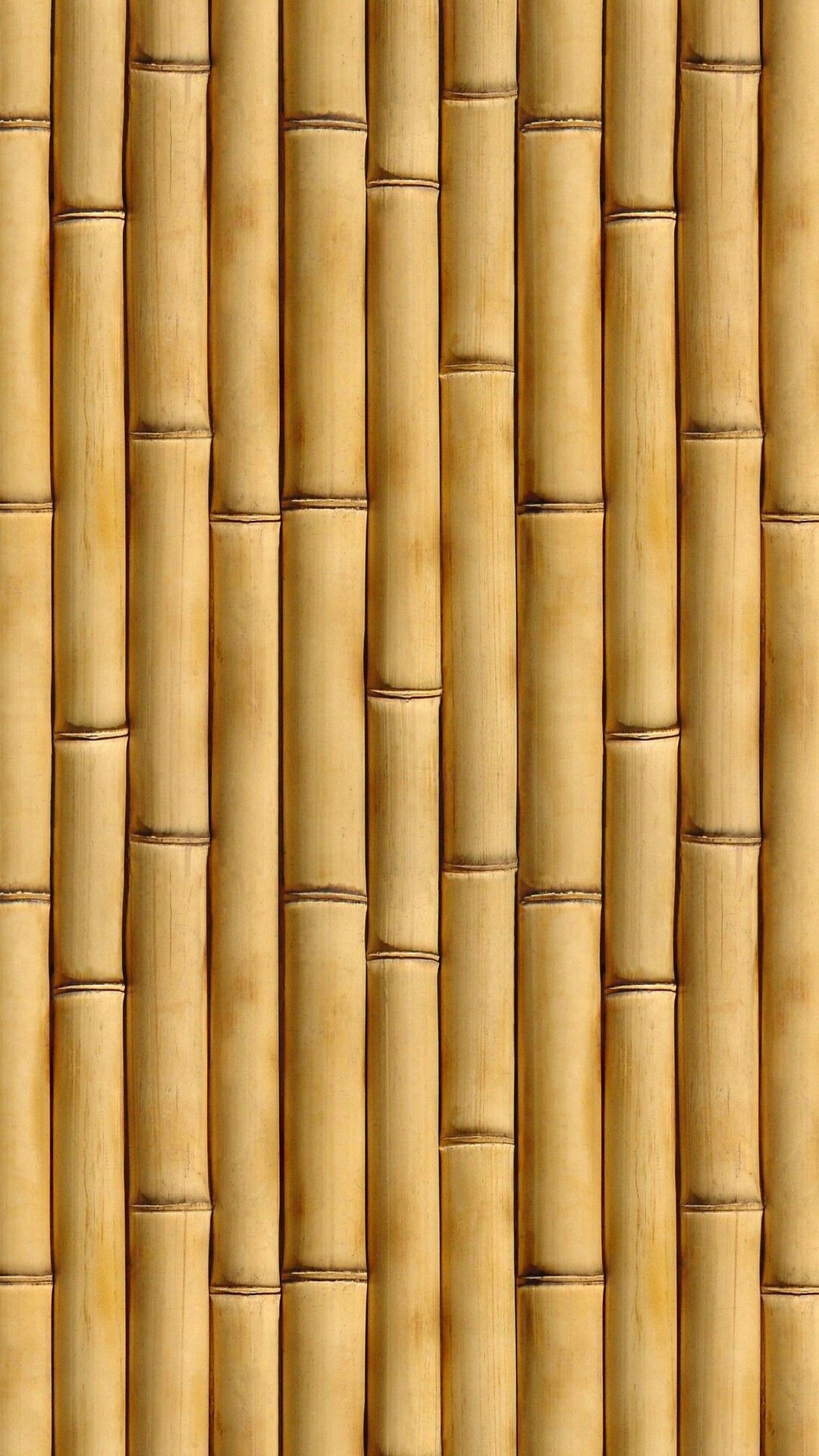 Bamboo Bamboo Background, Background Images, Powerpoint - Background Bamboo Iphone , HD Wallpaper & Backgrounds