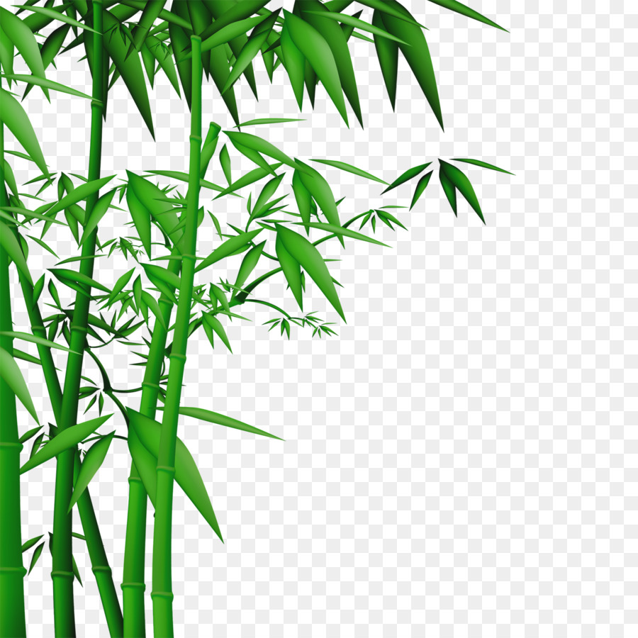 Bamboo, Wall, Painting, Leaf Png - Bamboo Tree , HD Wallpaper & Backgrounds