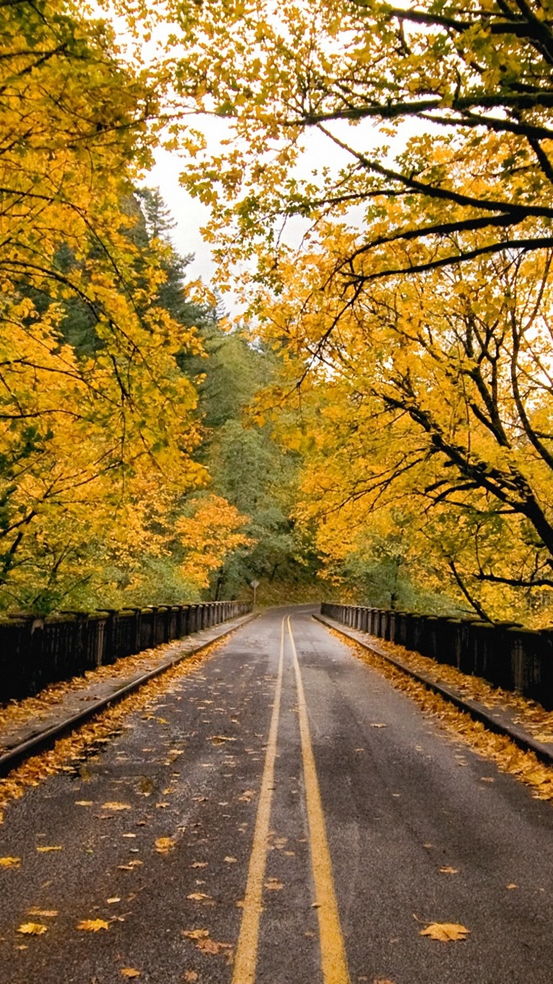 Hd Autumn Road Htc One M8 Wallpapers - Background Road Hd Wallpaper Download , HD Wallpaper & Backgrounds